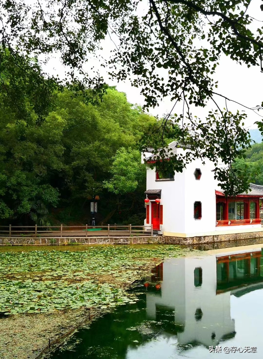 南京珍珠泉的母泉,游南京珍珠泉