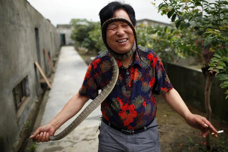 与蛇同吃同住？“中国第一蛇村”养300万条蛇，蛇王靠它收入千万
