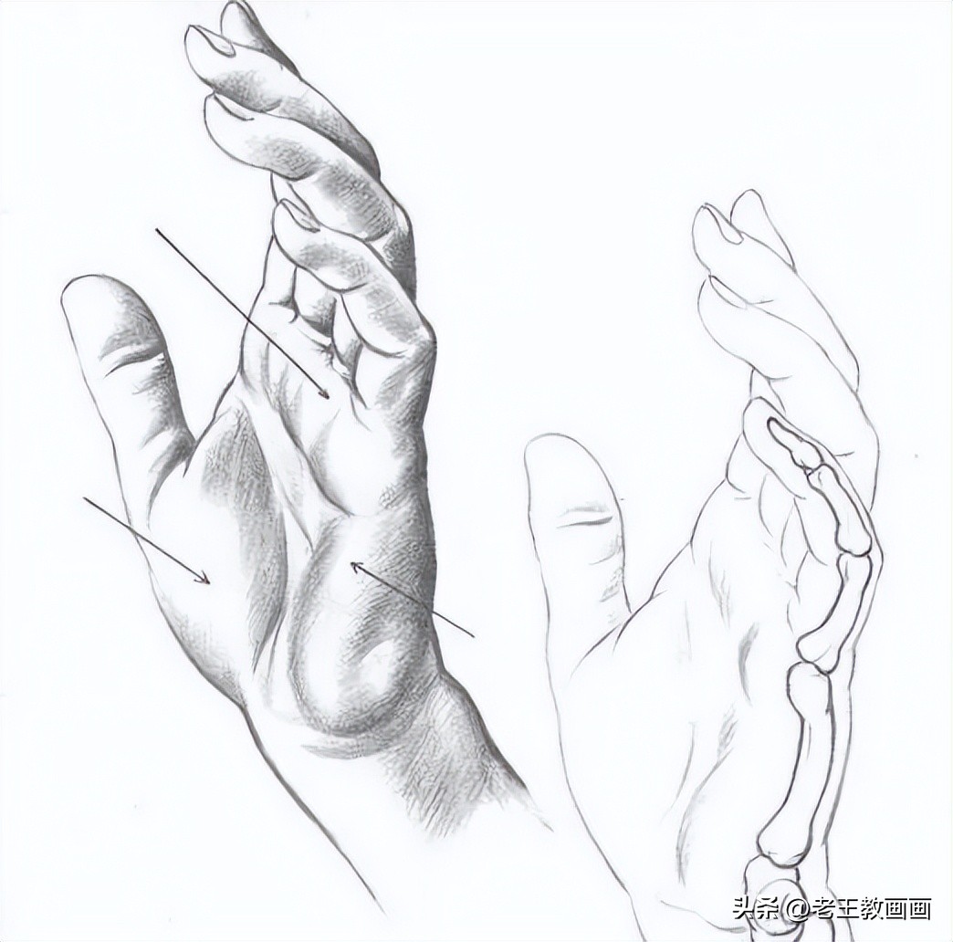 素描基础入门教程自学,素描基础入门小教程