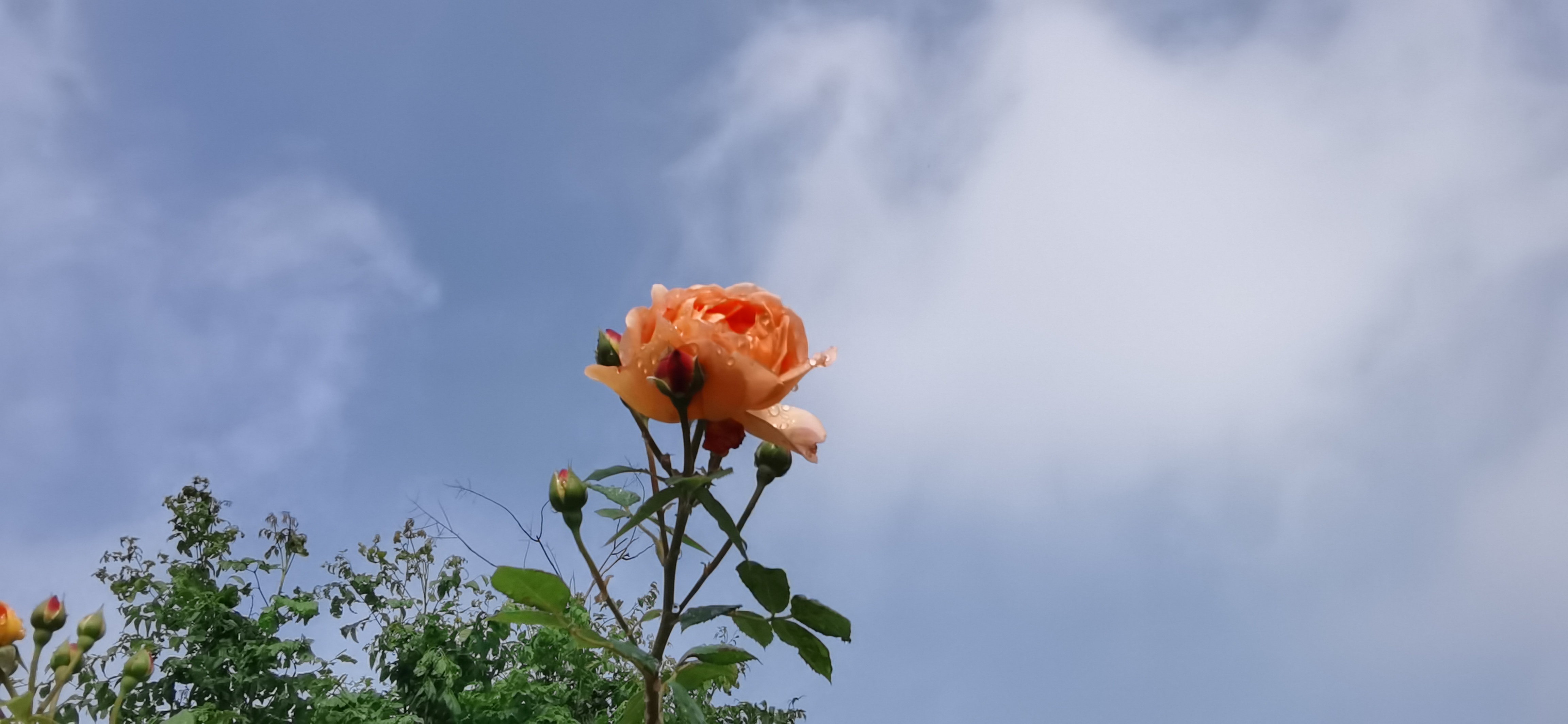 试机号码：2022289期福彩3D模拟试机号码来了，大大小的组六号码