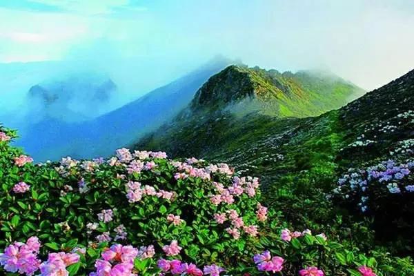 云南宣威致6死嫌犯已落网,云南山歌