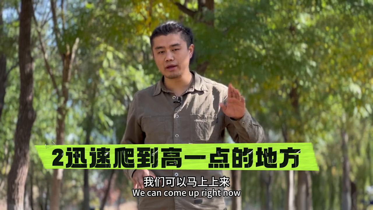 如果你遇到恶犬袭击怎么办,恶犬准备攻击你如何把它赶走