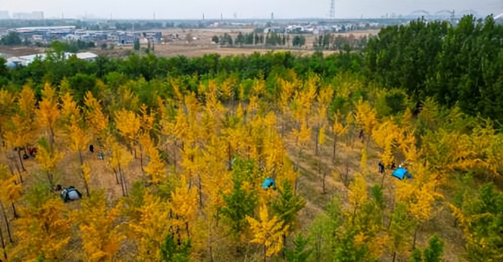 济南赏秋,秋天济南去哪里赏秋最好