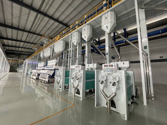 广东丝苗米的亮点,广州增城丝苗米产业园