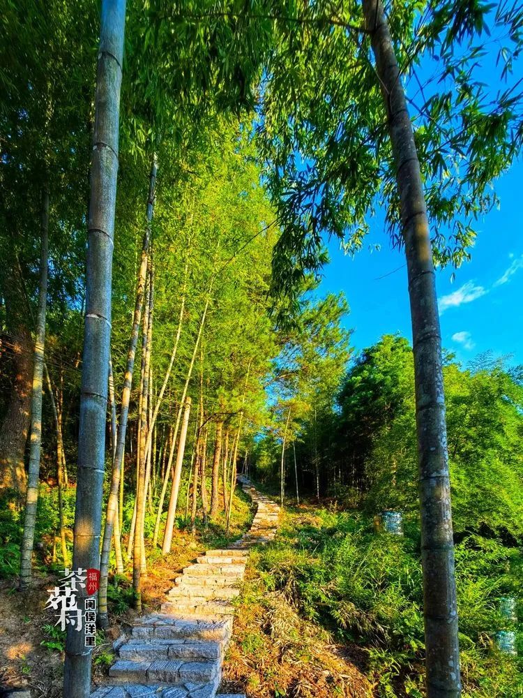 元旦闽侯周边一日游,闽侯周末游