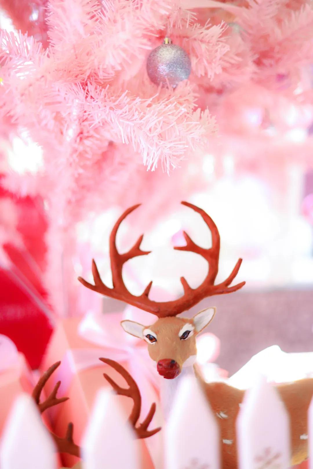 j-tea魔杰的茶哈尔滨店,j-tea魔杰的茶加盟费