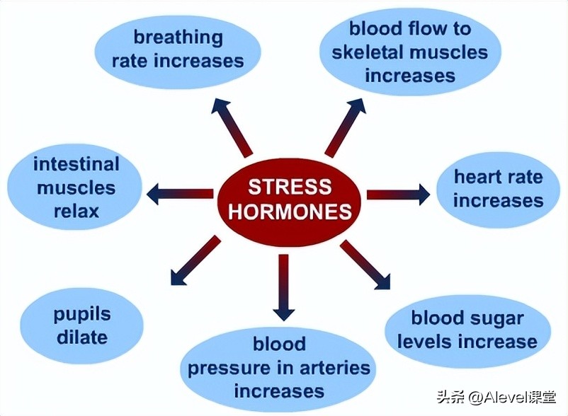 心理学a-level选什么,a-level心理学好学吗