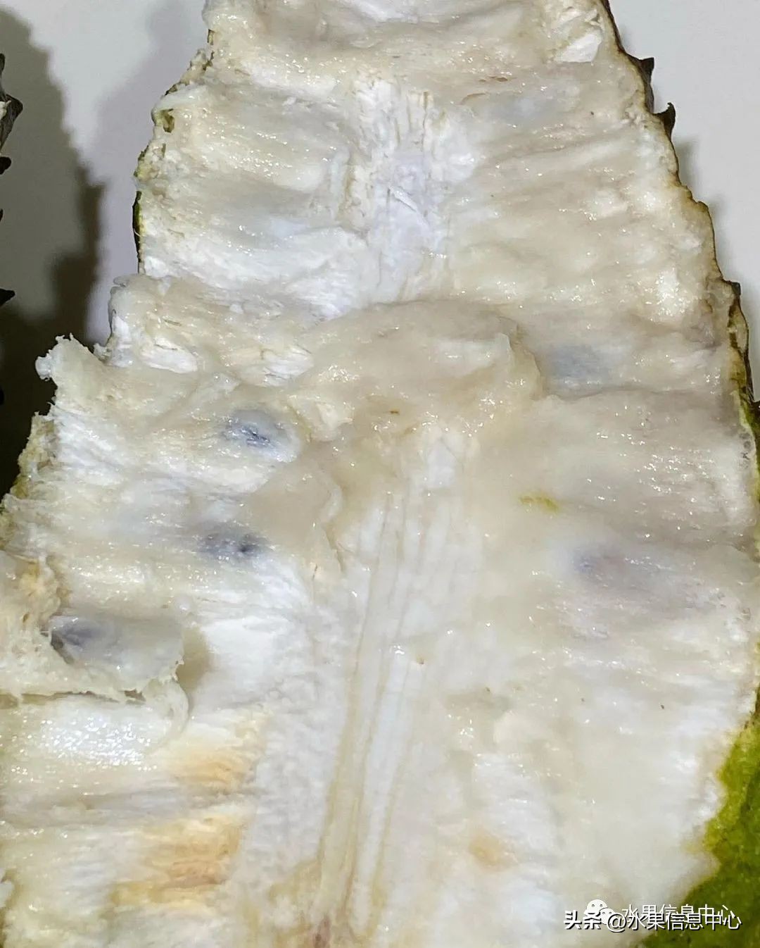 榴莲释迦又叫什么,释迦图片高清大图