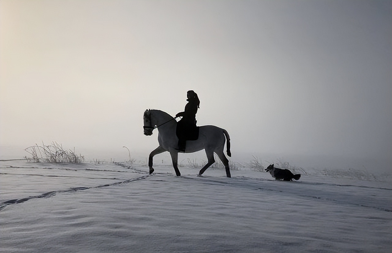 边牧和澳牧的混血狗狗,漂亮狗狗澳牧