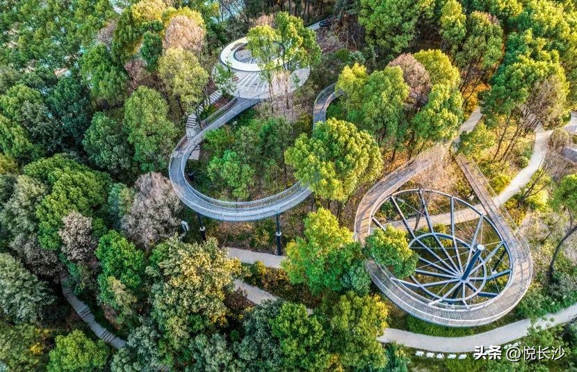 从『万科式』热销，看森林人居的高光热望！