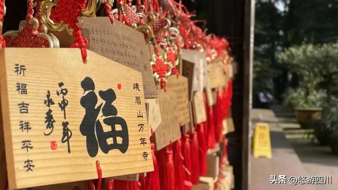 圣寿峨眉庆重阳,雪芽飘香万年长