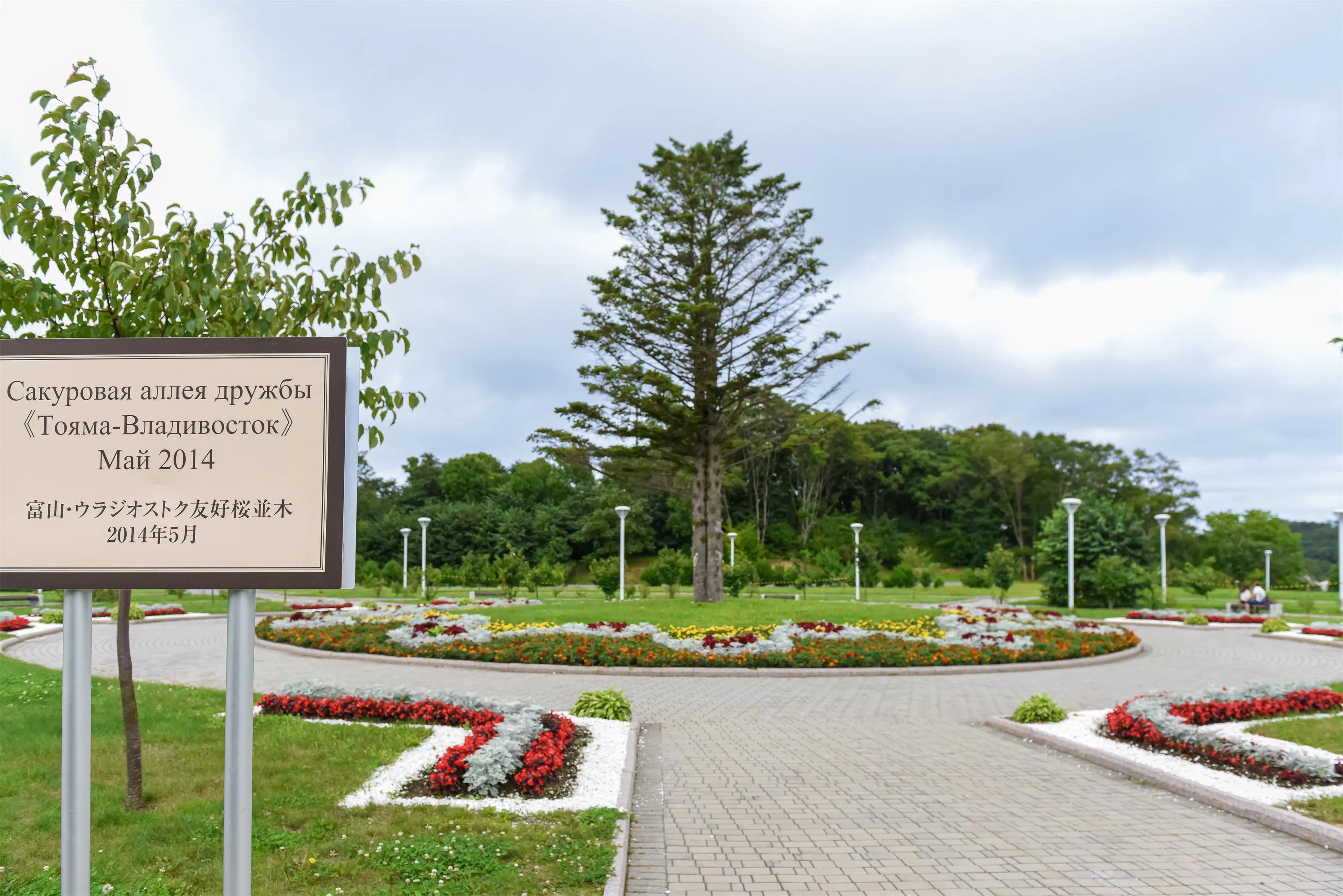 校园里有海？难怪普京最爱去这里！这才是别人家的大学吧！