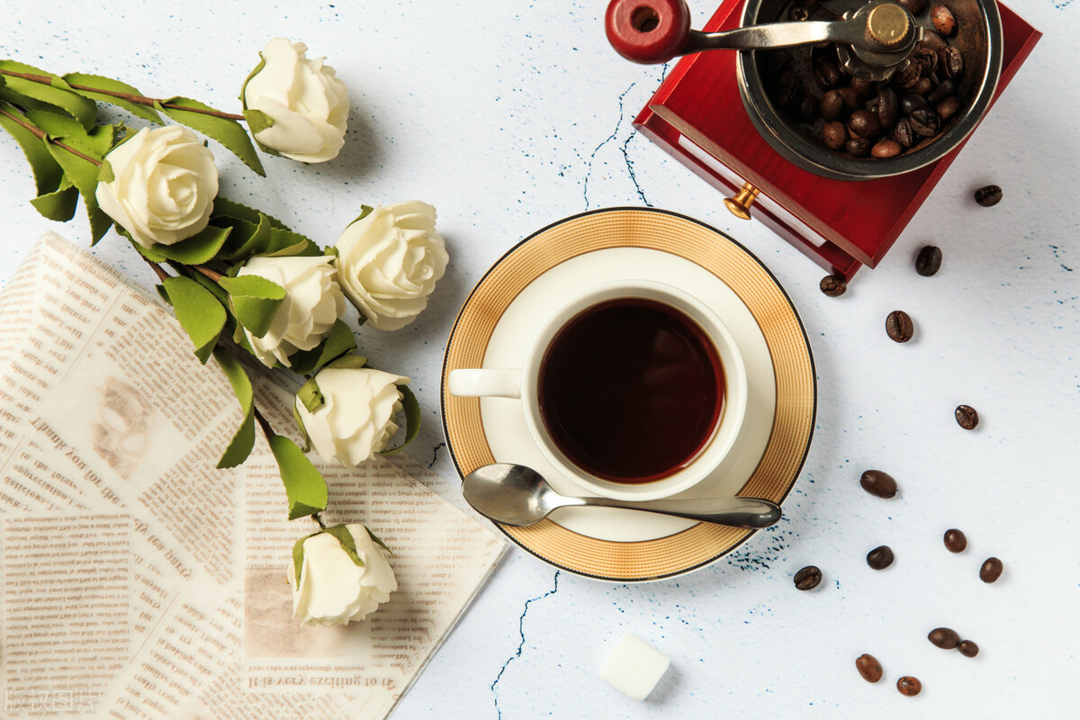 正清园小说项目怎么样,正清园网文小说项目靠谱吗