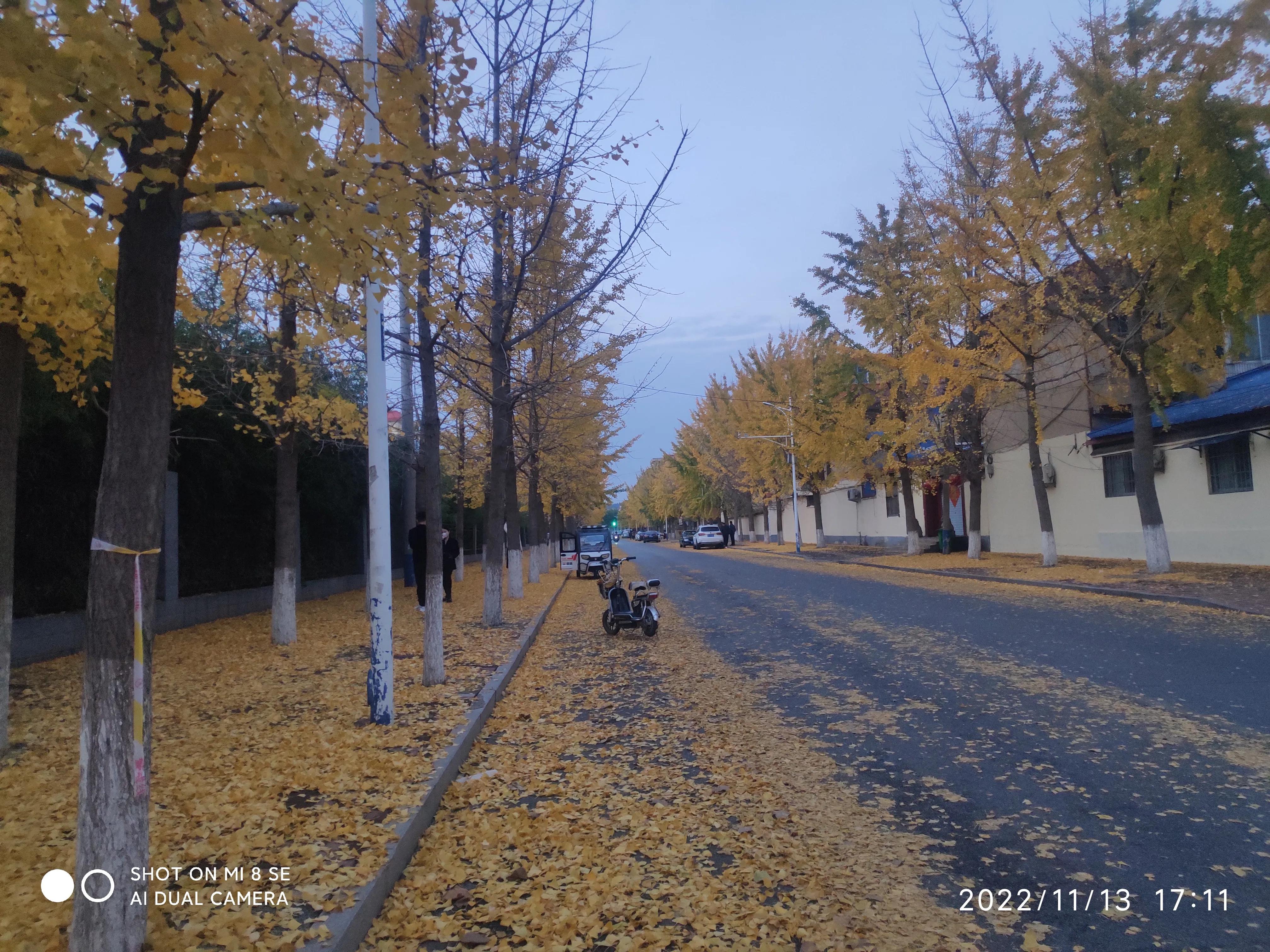 解封帖,解封记录怎么查