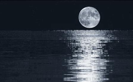 左岩安吉白茶仙子,左岩珠宝碧玺