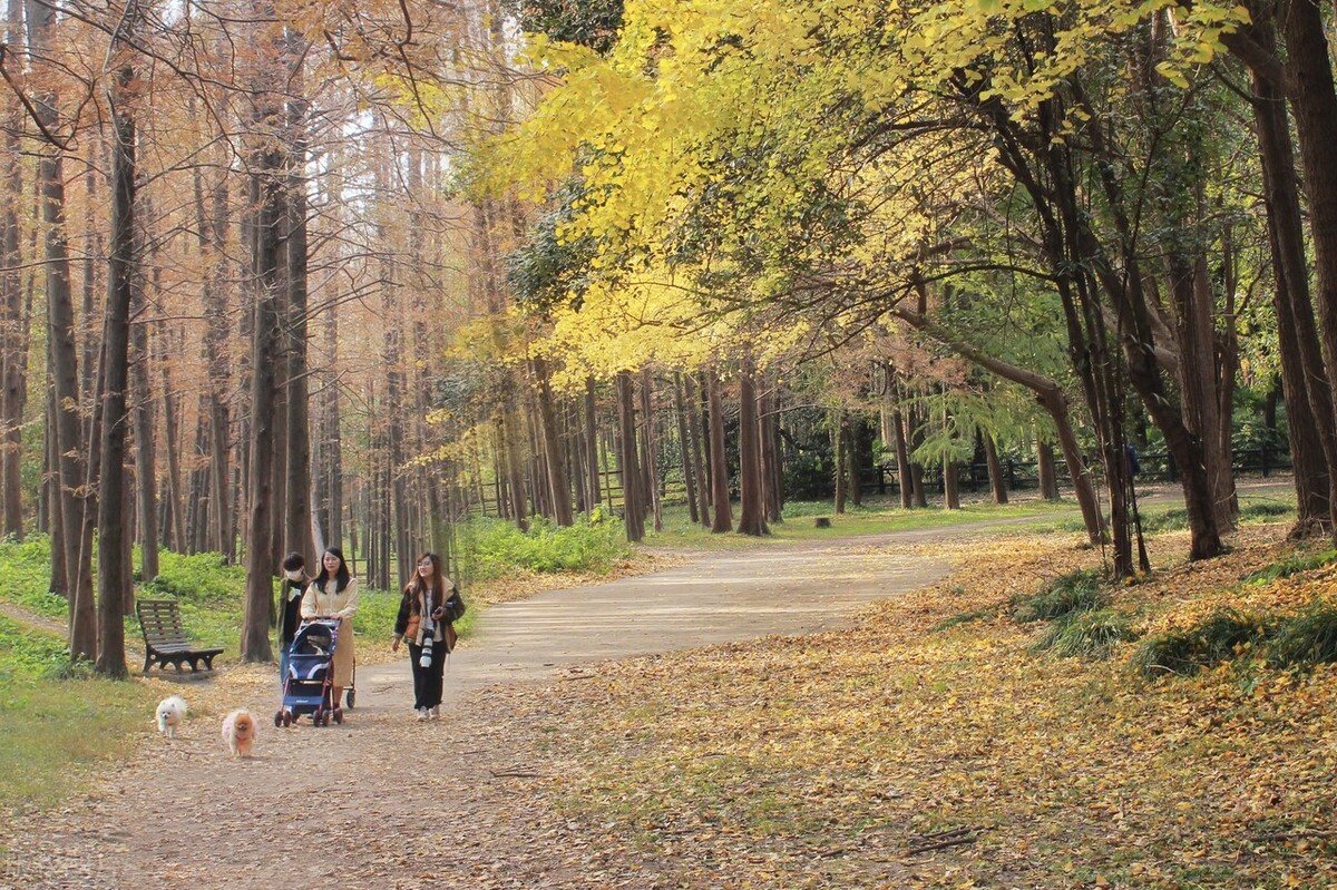 告别2022，未来可期，时光静好，浅笑安然，向着温暖那方走去