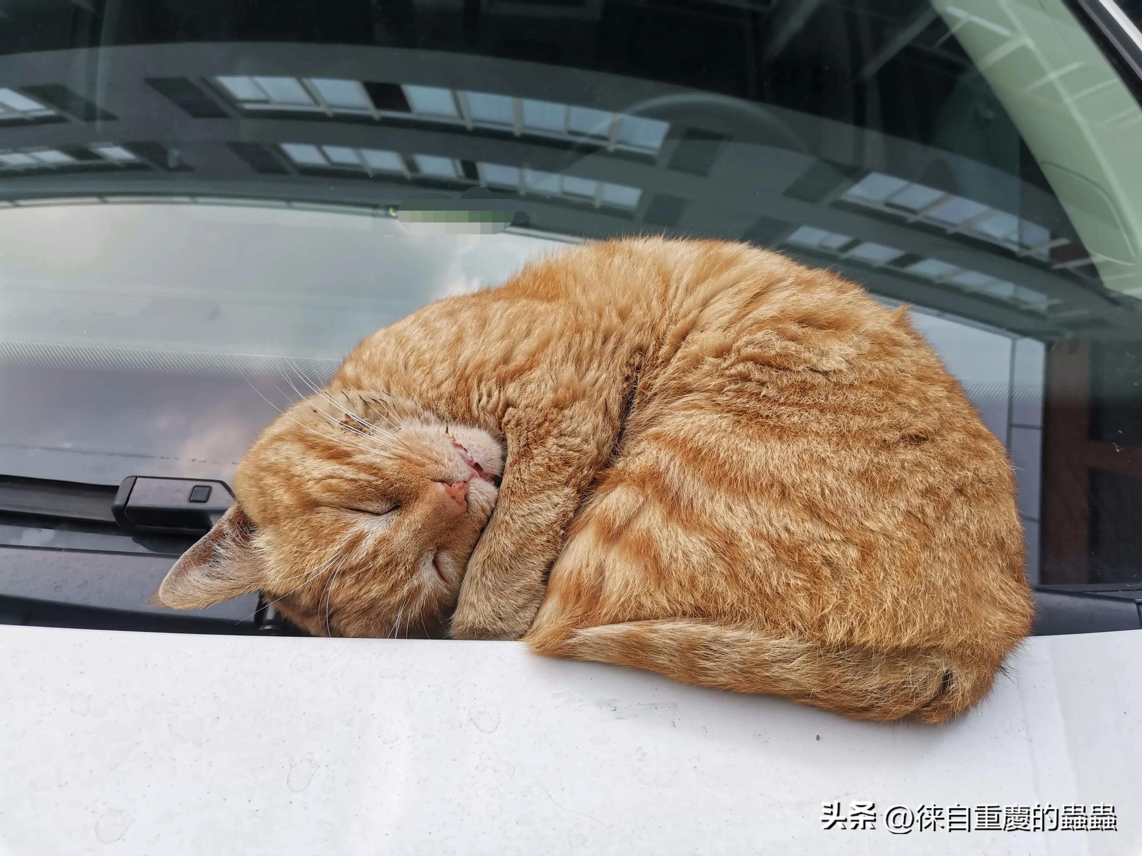 正在愁文章没有阅读量的朋友今天晚上何不到大街上压压马路