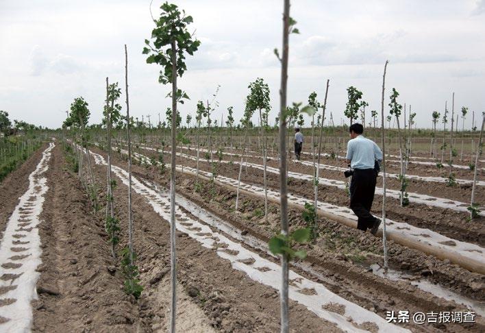​寓教于光影，启智又好看的长影经典科教片