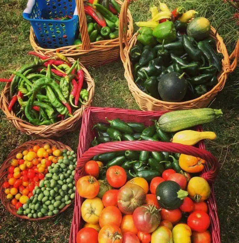 网传上海某地针对性阻拦京东物资车，如果属实相关人有何法律责任