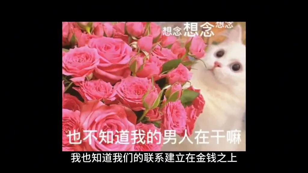 如何从失恋中走出来,如何从失恋中走出来的