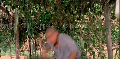 李连杰于海太极拳,太极宗师于海经典片段李连杰