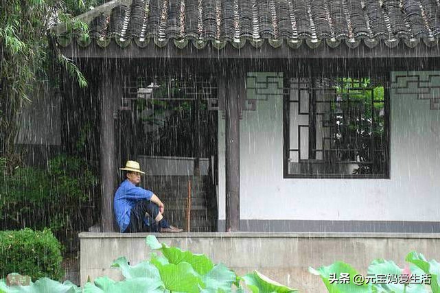 鸟窝怎么防大雨,鸟窝下雨天怎么处理