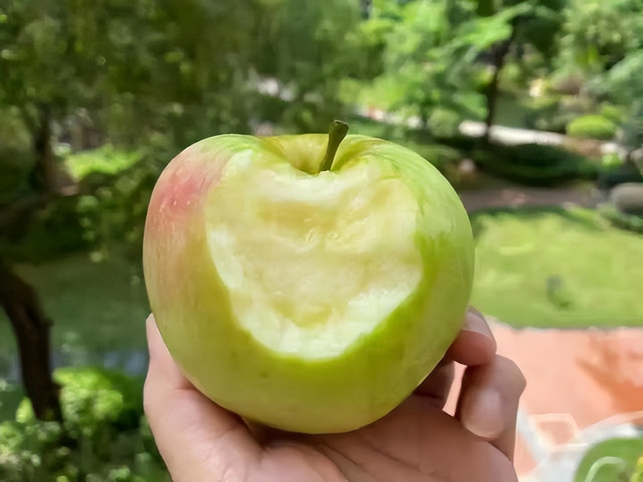 进口苹果爱马仕,苹果中的爱马仕是什么苹果