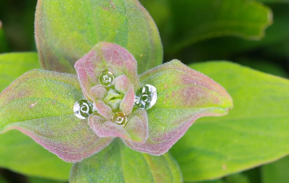 自卑是一点点被治愈的,自卑是一种容易刻入骨子里的东西