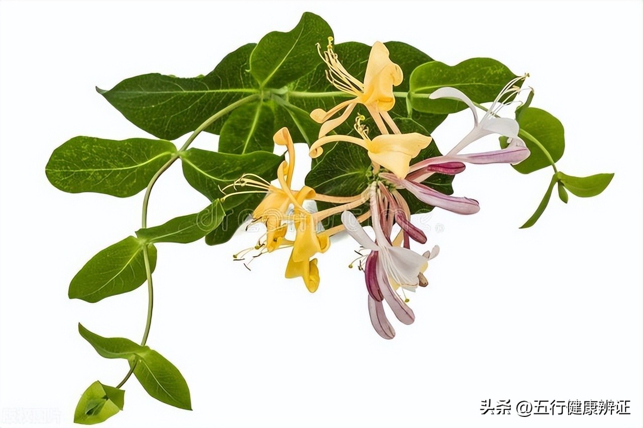 脾胃虚弱慢性咽炎吃什么药,肾阴亏虚型慢性咽炎用什么