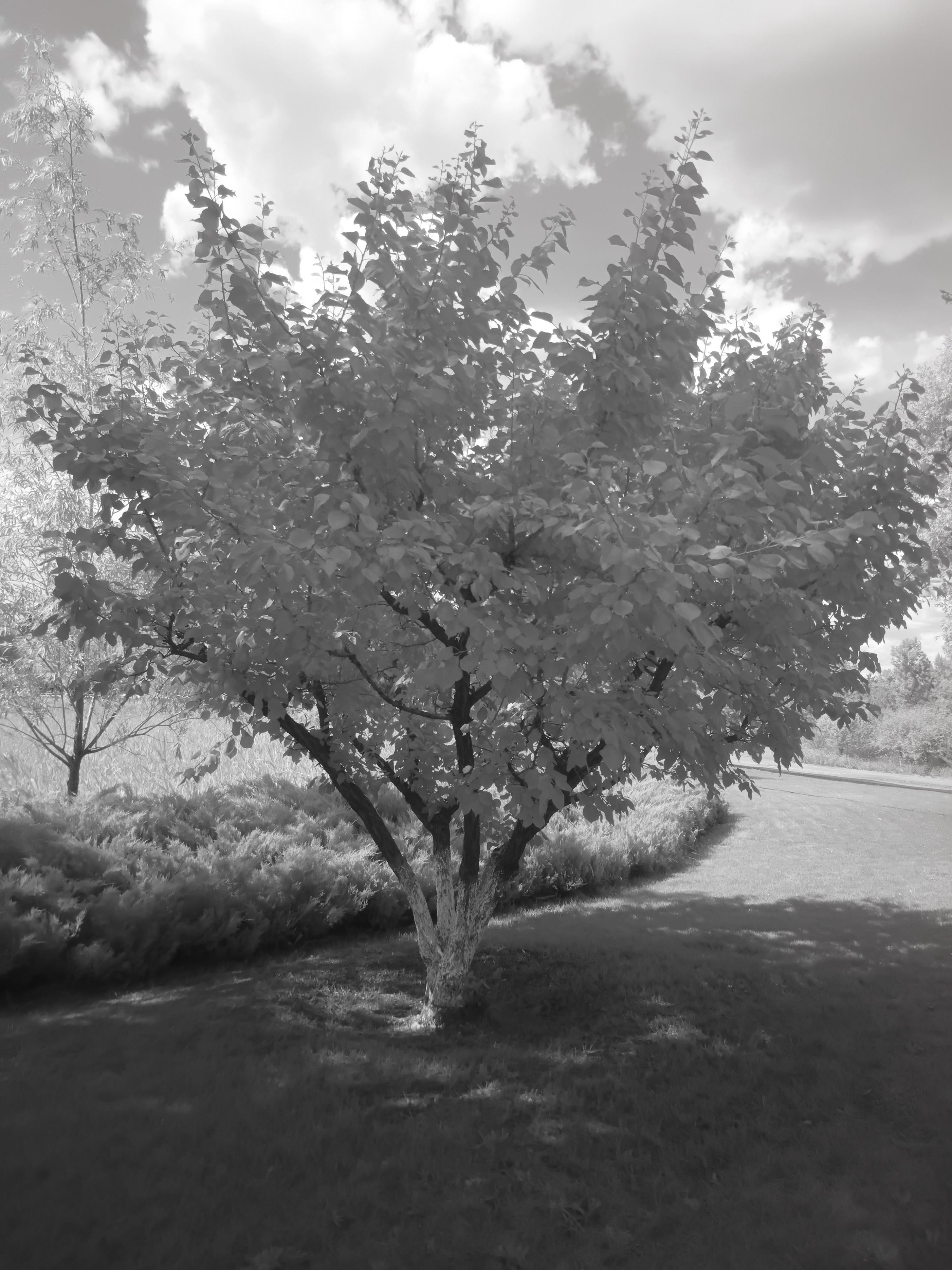 三防手机当随身wifi,三防手机能当普通手机用吗