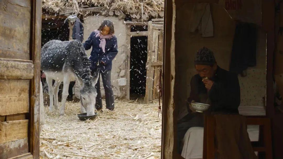 大专课上，老师教我洗澡、避孕、正常做人