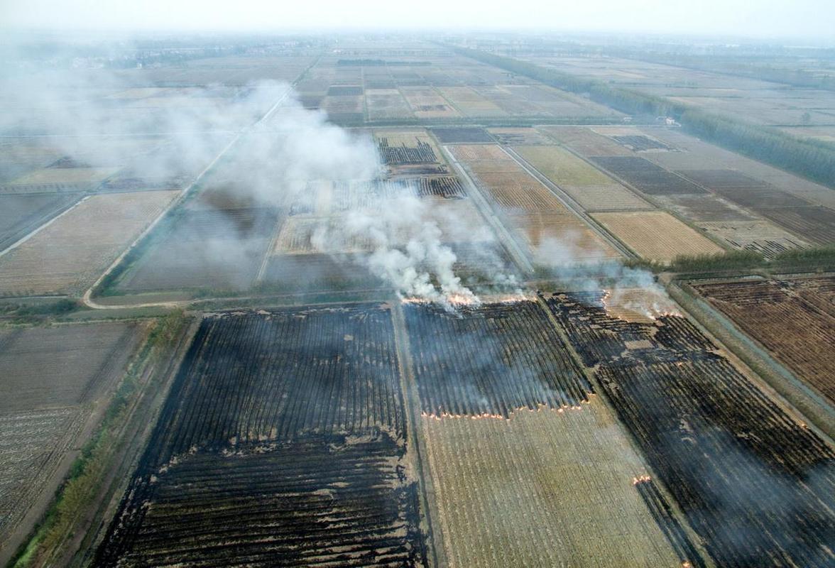 秸秆打包10元一亩,秸秆粉碎打包一捆多少斤