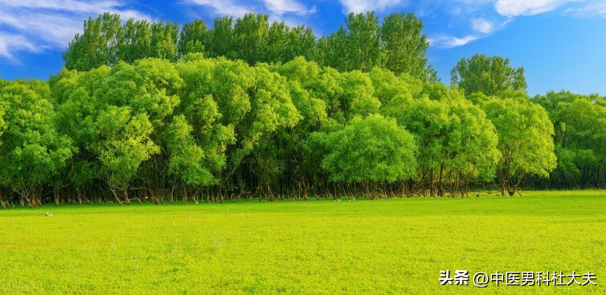 硬度不够无非就是不足和不通，一方补虚化瘀恢复该有的韧性