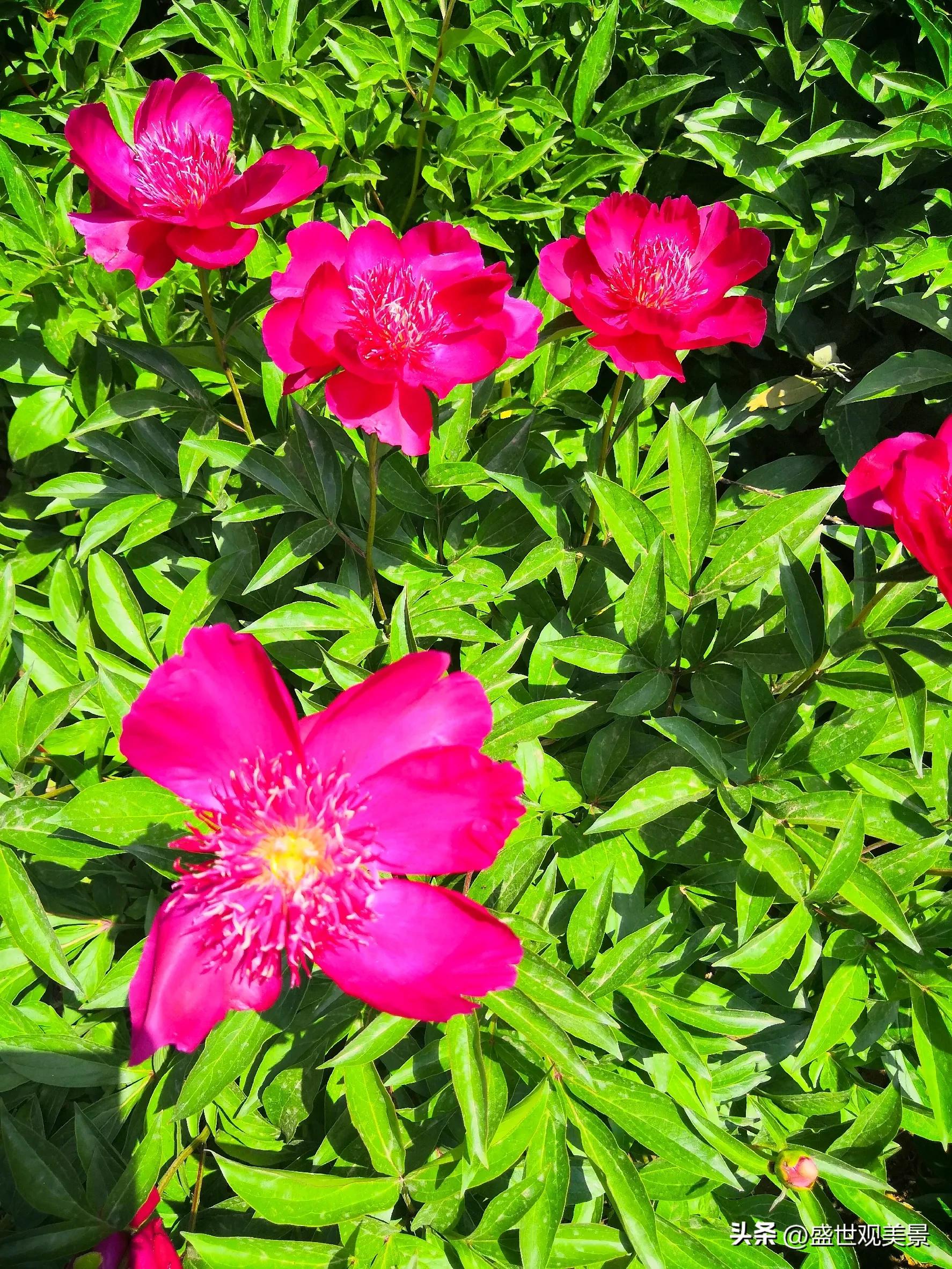 怎样找到头条的流量密码,头条原创文章怎么加推荐量