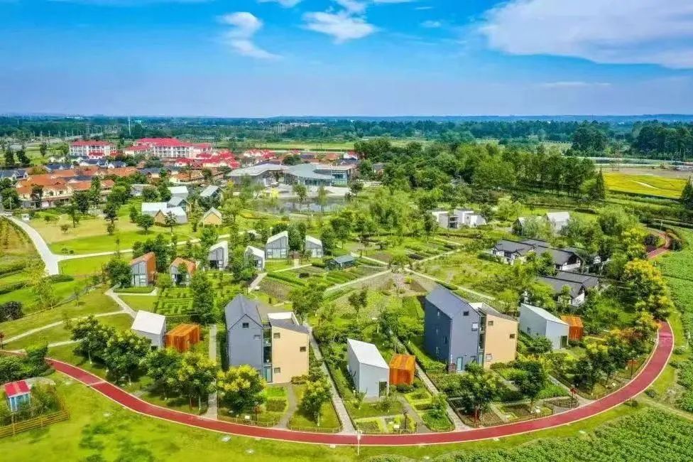 乡村振兴考察组到封开,省乡村振兴调研组到我县调研