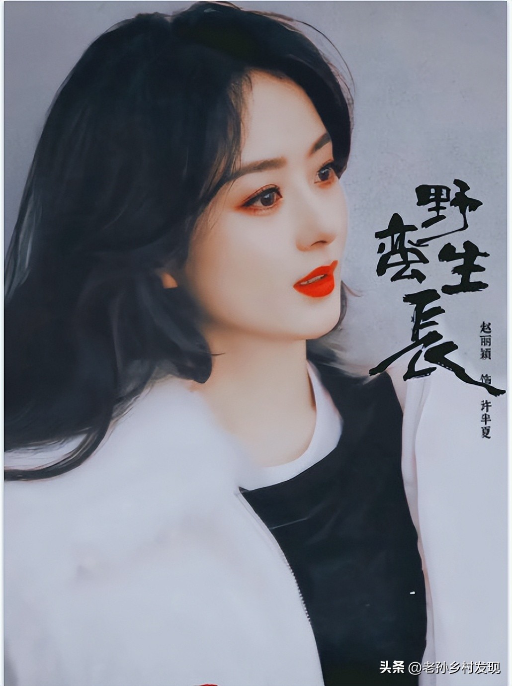 风吹半夏赵丽颖出圈了吗,赵丽颖花开半夏入围了什么奖