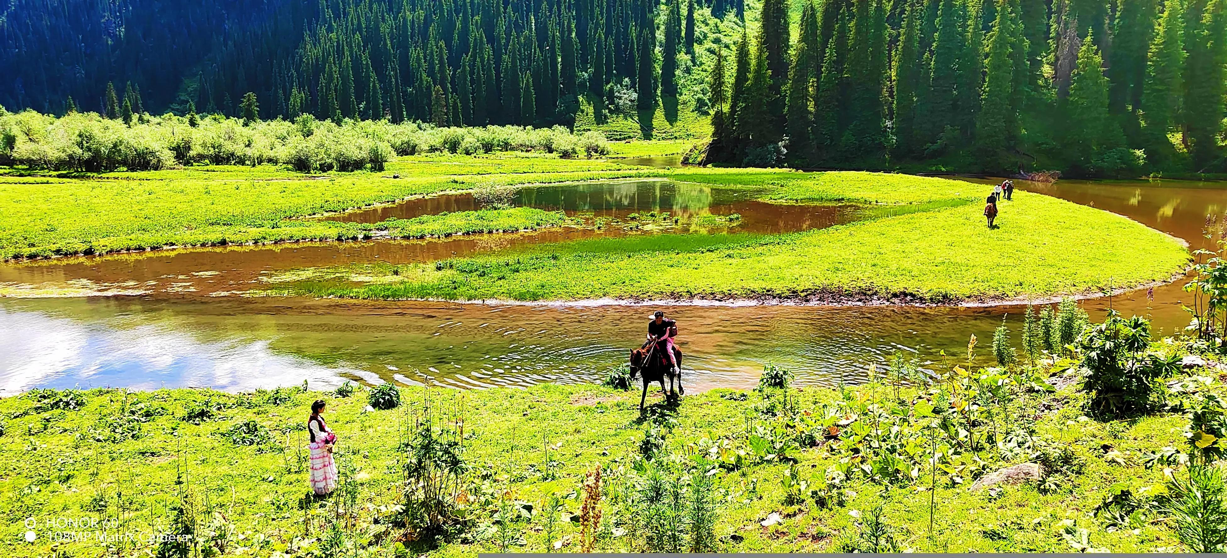 穿越森林探险视频,穿越森林探险之旅