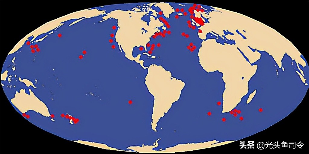 深海巨妖和北海巨妖,蓝鲸和北海巨妖谁更大