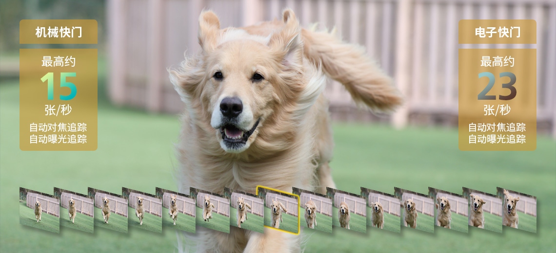 佳能eosr10实拍效果,佳能eosr10怎么样