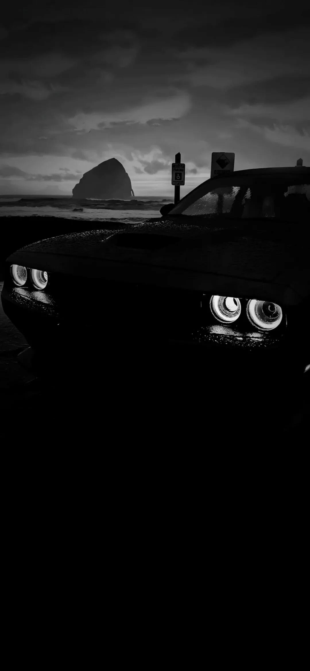 黑色背景小鹿壁纸,高清黑色背景壁纸图片