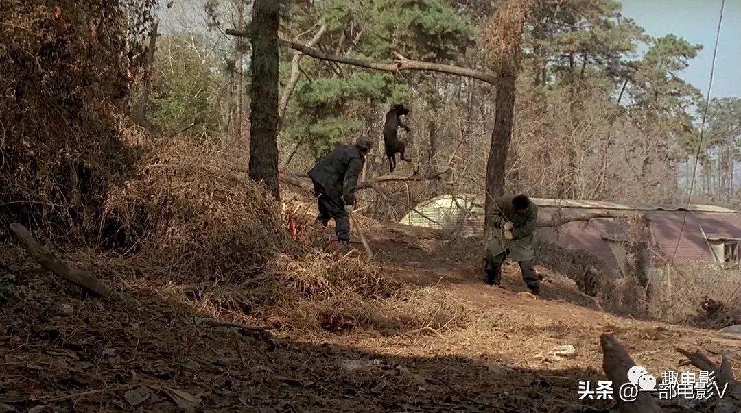 韩国最令人发指的真实事件,韩国在越战的暴行