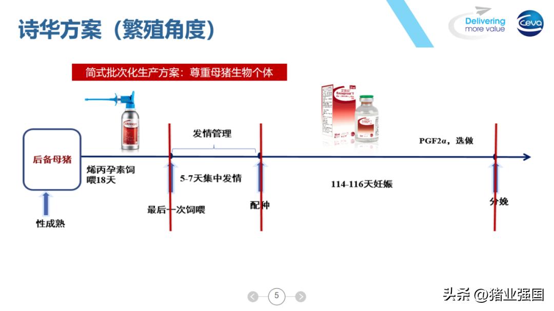 养猪技术及策略,猪场如何应对行情低迷