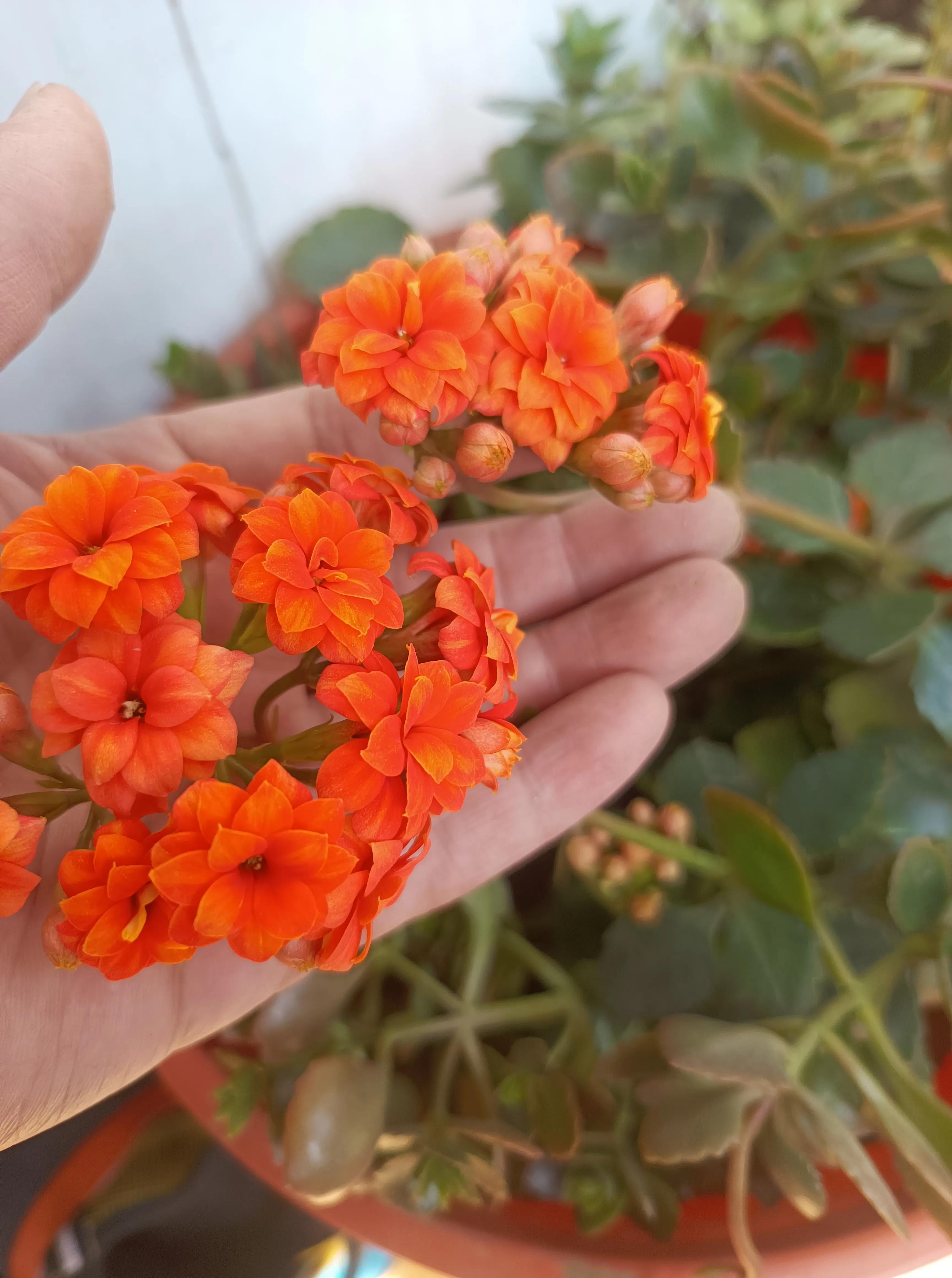 对音乐感兴趣的英语怎么说,听音乐是最好的用英语怎么说