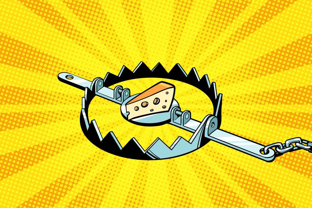 二裂酵母有多火爆,口碑最好的二裂酵母