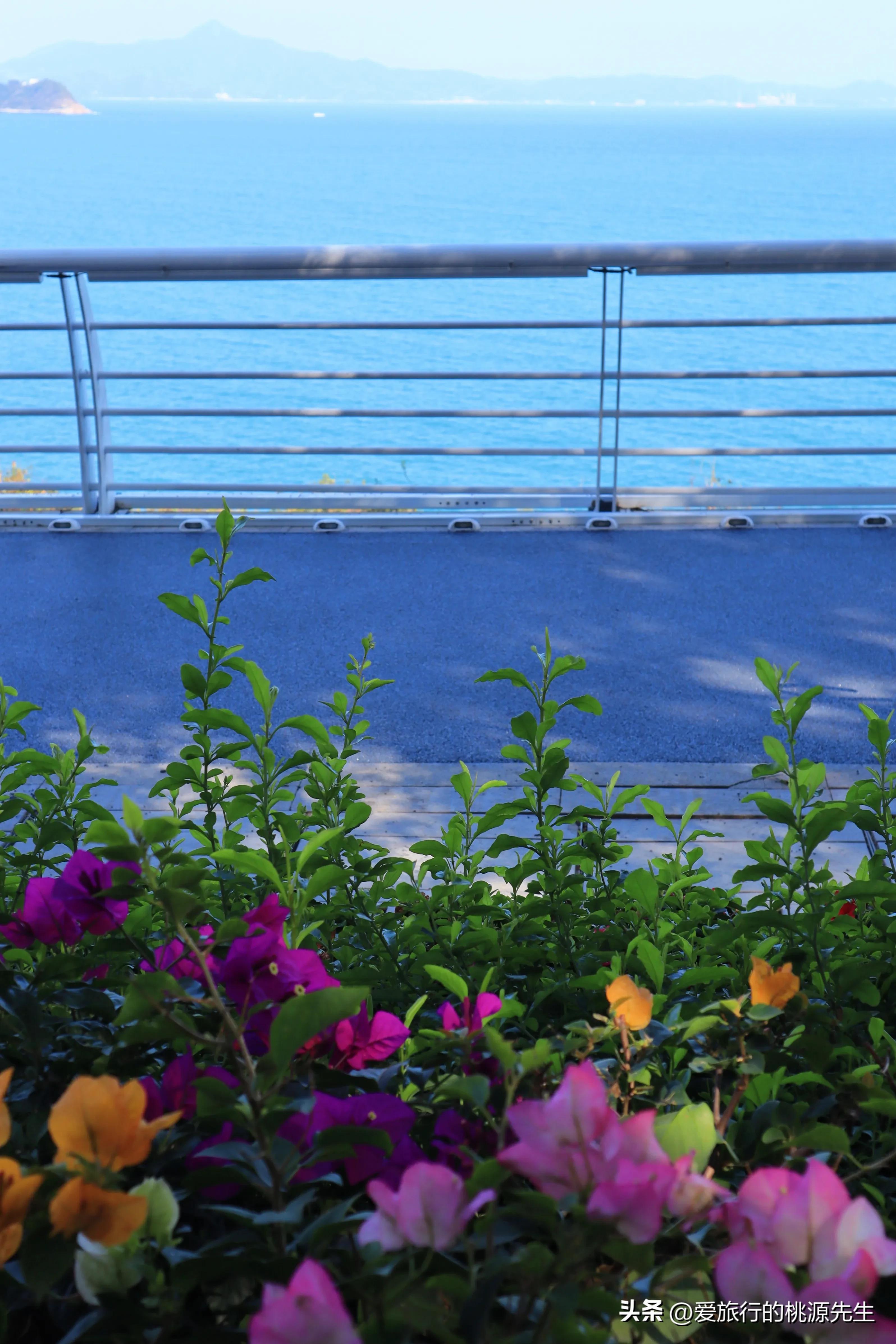 大梅沙怎么玩才能玩得好,大梅沙旅游攻略怎么做