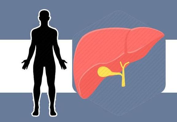 乙肝携带者大三阳肝功能检查异常,乙肝出现肝功能异常