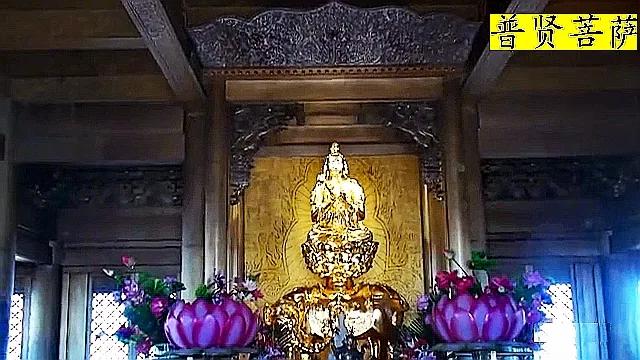 峨眉山最高顶是金顶吗,峨眉山最高的寺