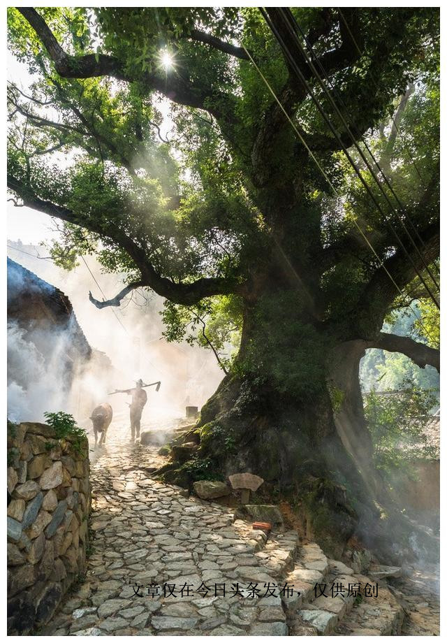 35岁要接受岁月的洗礼,35岁以后松弛