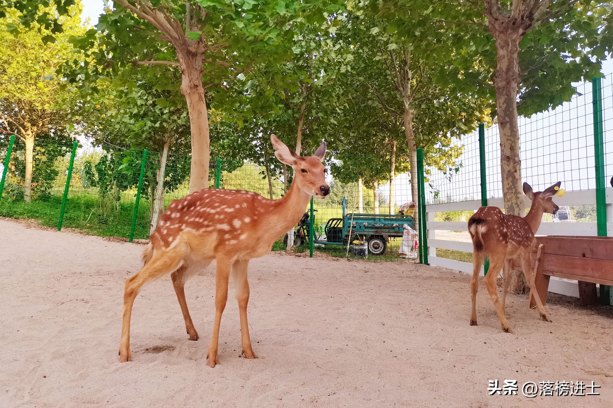 石家庄森林河趣主题公园五一,石家庄森林河主题公园攻略