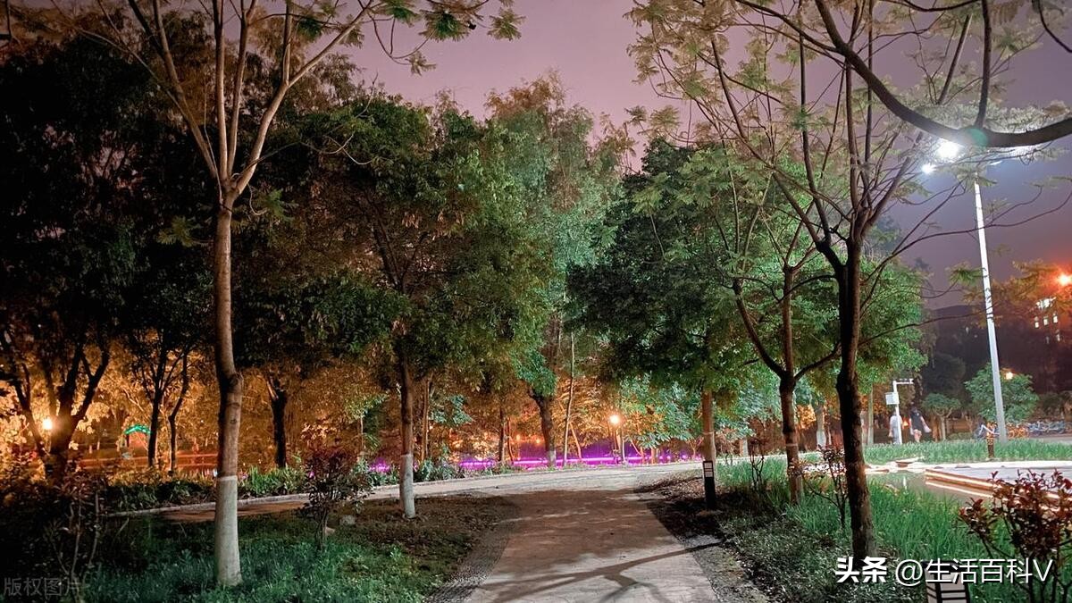 纾ㄧ偧鎴愰噾,纾ㄧ牶鎴愰噾